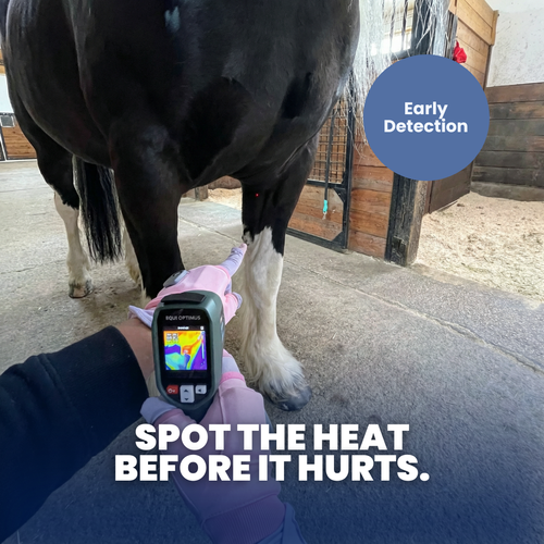 TrueScan — AI Thermal Inflammation Detector