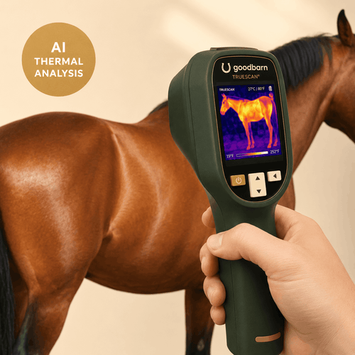 TrueScan — AI Thermal Inflammation Detector