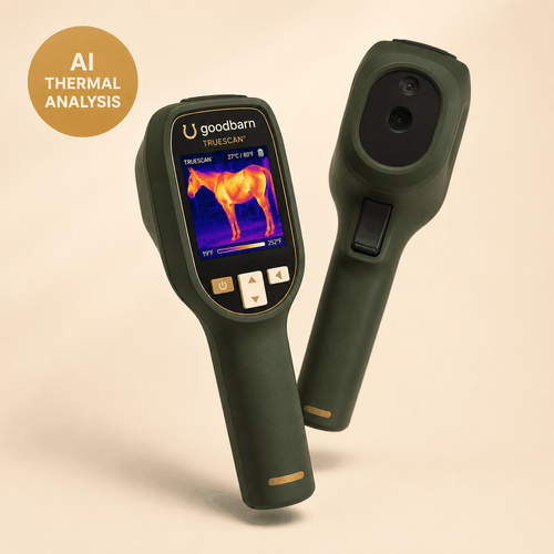 TrueScan — AI Thermal Inflammation Detector