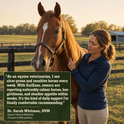 GutEase — Daily Horse Gut & Ulcer Support Supplement
