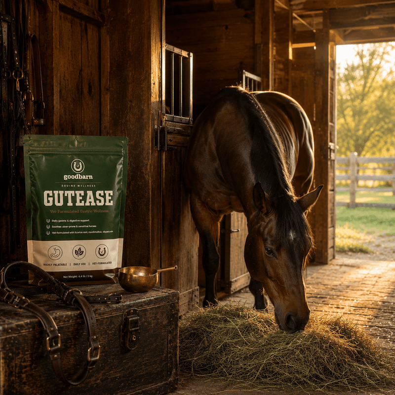 DAILY GUT SUPPORT YOUR HORSE WILL ACTUALLY EAT