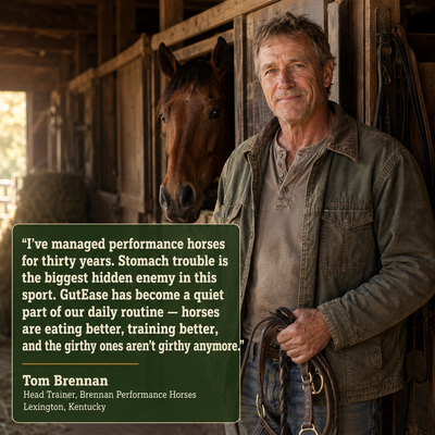 MetaSupport — Metabolic Support for Easy-Keeper Horses