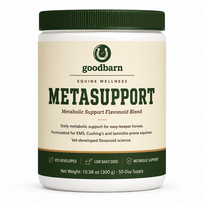 MetaSupport — Metabolic Support for Easy-Keeper Horses
