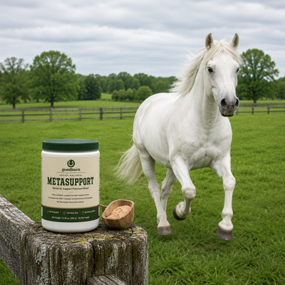 MetaSupport — Metabolic Support for Easy-Keeper Horses